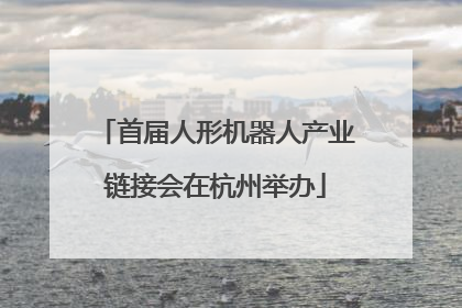 首届人形机器人产业链接会在杭州举办