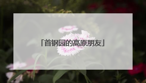 首钢园的高原朋友
