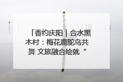 香约庆阳｜合水黑木村：梅花鹿鸵鸟共舞 文旅融合绘就“诗与远方”