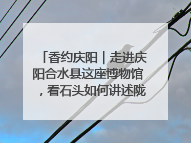 香约庆阳｜走进庆阳合水县这座博物馆，看石头如何讲述陇东千年历史