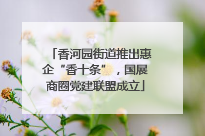 香河园街道推出惠企“香十条”，国展商圈党建联盟成立