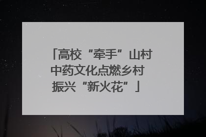 高校“牵手”山村 中药文化点燃乡村振兴“新火花”