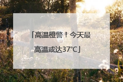 高温橙警！今天最高温或达37℃