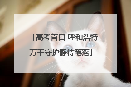 高考首日 呼和浩特万千守护静待笔落