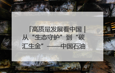 高质量发展看中国｜从“生态守护”到“碳汇生金”——中国石油大庆油田绿色蝶变