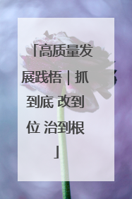 高质量发展践悟｜抓到底 改到位 治到根