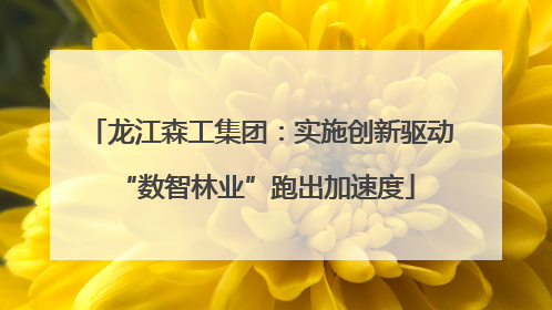 龙江森工集团：实施创新驱动 “数智林业”跑出加速度