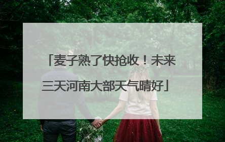 麦子熟了快抢收！未来三天河南大部天气晴好