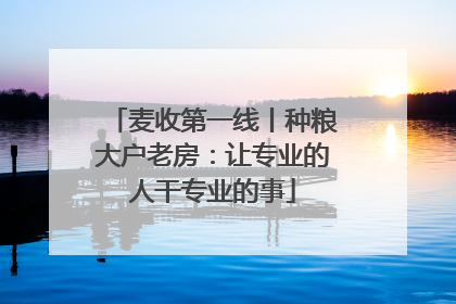麦收第一线丨种粮大户老房：让专业的人干专业的事