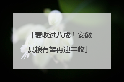 麦收过八成！安徽夏粮有望再迎丰收