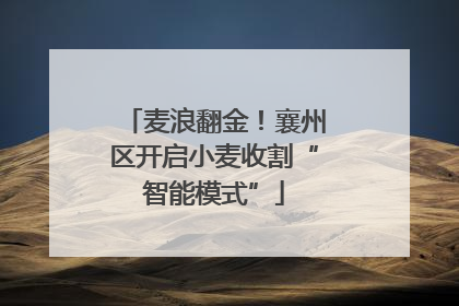 麦浪翻金！襄州区开启小麦收割“智能模式”