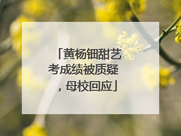 黄杨钿甜艺考成绩被质疑，母校回应