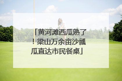 黄河滩西瓜熟了！梁山万余亩沙瓤瓜直达市民餐桌