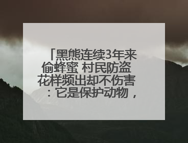 黑熊连续3年来偷蜂蜜 村民防盗花样频出却不伤害：它是保护动物，我有保险兜底