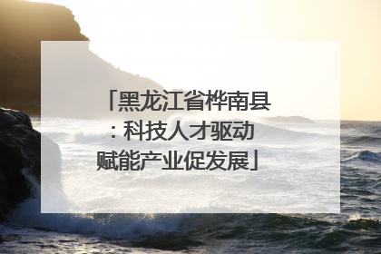 黑龙江省桦南县：科技人才驱动 赋能产业促发展