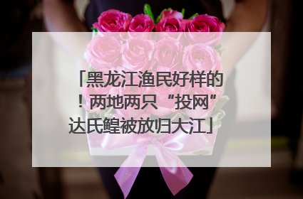 黑龙江渔民好样的！两地两只“投网”达氏鳇被放归大江