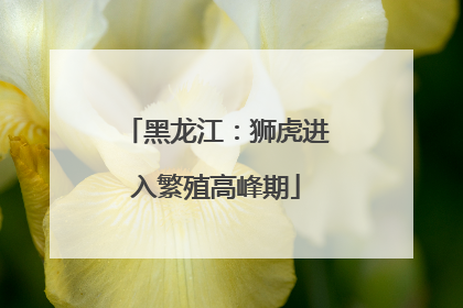 黑龙江：狮虎进入繁殖高峰期