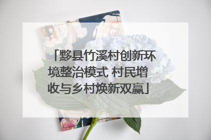 黟县竹溪村创新环境整治模式 村民增收与乡村焕新双赢