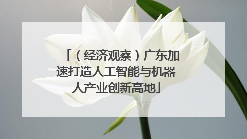 （经济观察）广东加速打造人工智能与机器人产业创新高地