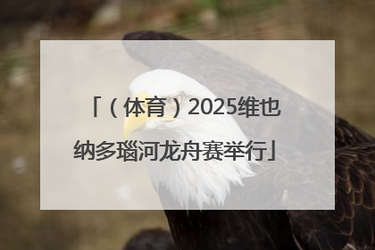 （体育）2025维也纳多瑙河龙舟赛举行