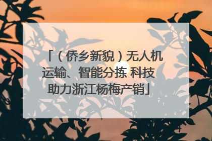 （侨乡新貌）无人机运输、智能分拣 科技助力浙江杨梅产销