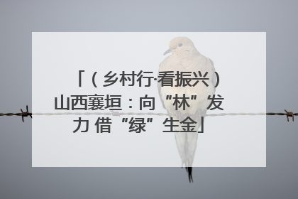 （乡村行·看振兴）山西襄垣：向“林”发力 借“绿”生金