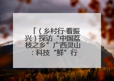 （乡村行·看振兴）探访“中国荔枝之乡”广西灵山：科技“鲜”行 实“荔”C位