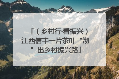 （乡村行·看振兴）江西信丰一片茶叶“沏”出乡村振兴路