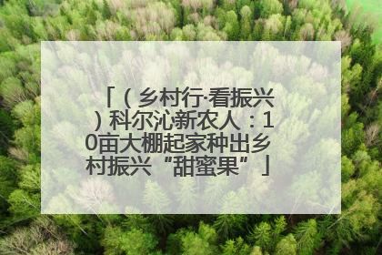 （乡村行·看振兴）科尔沁新农人：10亩大棚起家种出乡村振兴“甜蜜果”