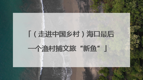 （走进中国乡村）海口最后一个渔村捕文旅“新鱼”