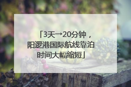 3天→20分钟，阳逻港国际航线靠泊时间大幅缩短