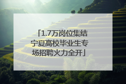 1.7万岗位集结 宁夏高校毕业生专场招聘火力全开