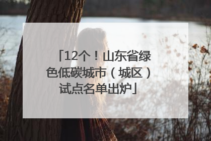 12个！山东省绿色低碳城市（城区）试点名单出炉