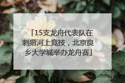 15支龙舟代表队在刺猬河上竞技，北京良乡大学城举办龙舟赛