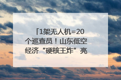 1架无人机=20个巡查员！山东低空经济“硬核王炸”亮相青岛，下一个万亿赛道藏在这里