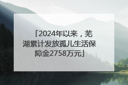 2024年以来，芜湖累计发放孤儿生活保障金2758万元