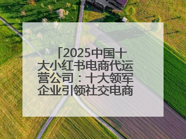 2025中国十大小红书电商代运营公司：十大领军企业引领社交电商新风向