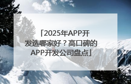 2025年APP开发选哪家好？高口碑的APP开发公司盘点