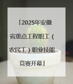 2025年安徽省重点工程职工（农民工）职业技能竞赛开幕