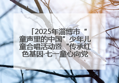 2025年淄博市“童声里的中国”少年儿童合唱活动暨“传承红色基因·七一童心向党”歌咏展演举行