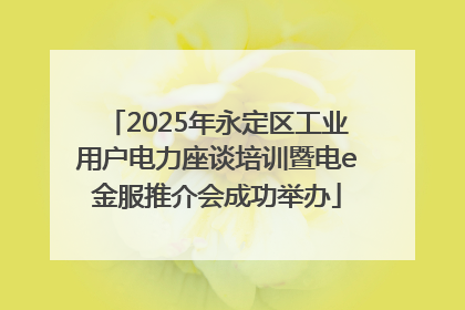 2025年永定区工业用户电力座谈培训暨电e金服推介会成功举办