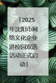 2025年沈阳市网络文化企业进校园双选活动正式启动