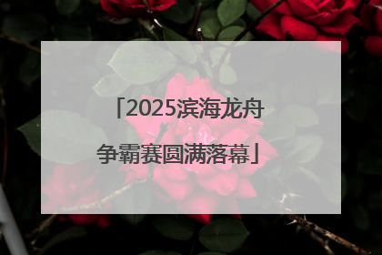 2025滨海龙舟争霸赛圆满落幕