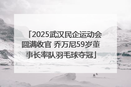 2025武汉民企运动会圆满收官 乔万尼59岁董事长率队羽毛球夺冠