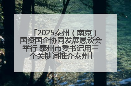 2025泰州（南京）国资国企协同发展恳谈会举行 泰州市委书记用三个关键词推介泰州