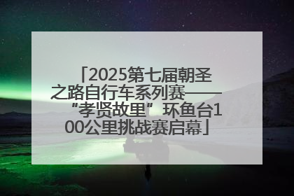 2025第七届朝圣之路自行车系列赛——“孝贤故里”环鱼台100公里挑战赛启幕