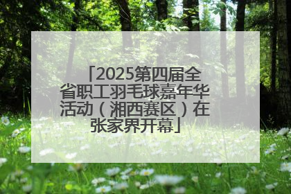2025第四届全省职工羽毛球嘉年华活动（湘西赛区）在张家界开幕