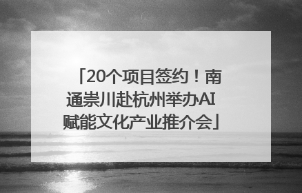 20个项目签约！南通崇川赴杭州举办AI赋能文化产业推介会