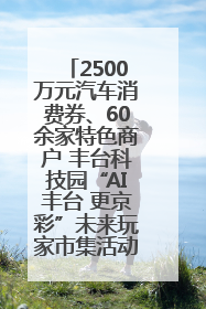 2500万元汽车消费券、60余家特色商户 丰台科技园“AI丰台 更京彩”未来玩家市集活动正式开幕