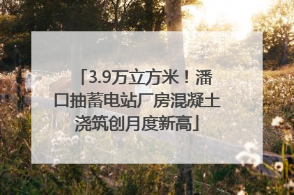 3.9万立方米！潘口抽蓄电站厂房混凝土浇筑创月度新高